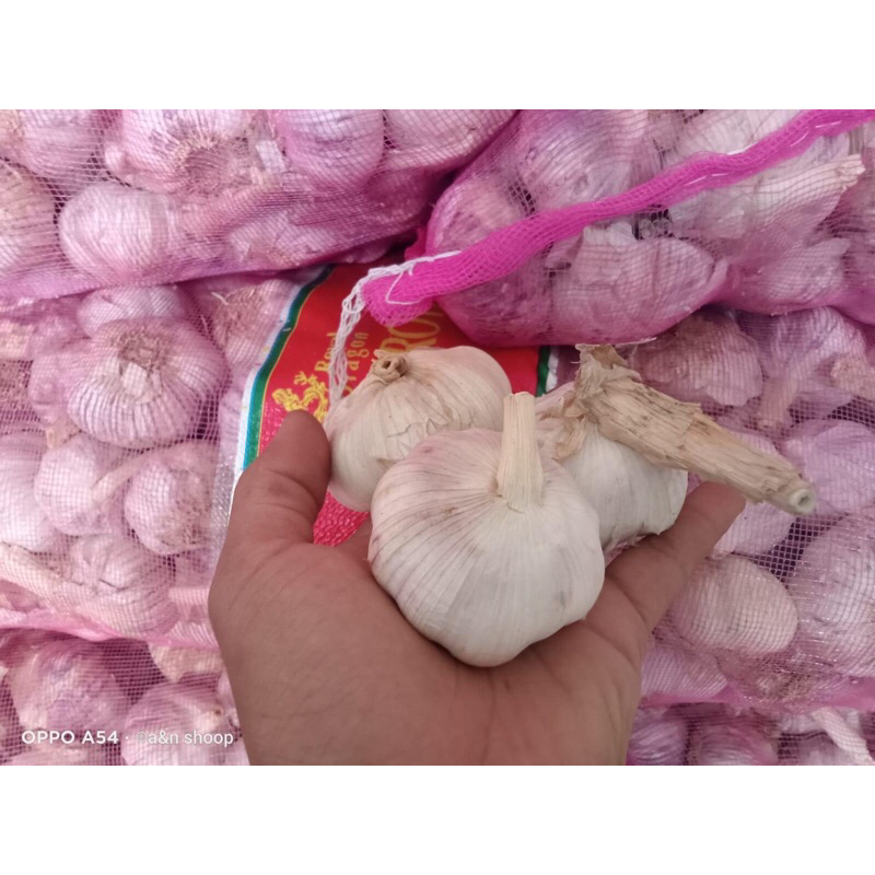 Bawang putih kotor 1KG