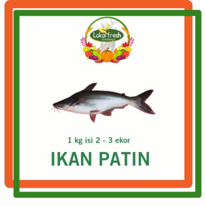 

❤️LOKAL FRESH❤️ | IKAN PATIN 1 KG | TERMURAH