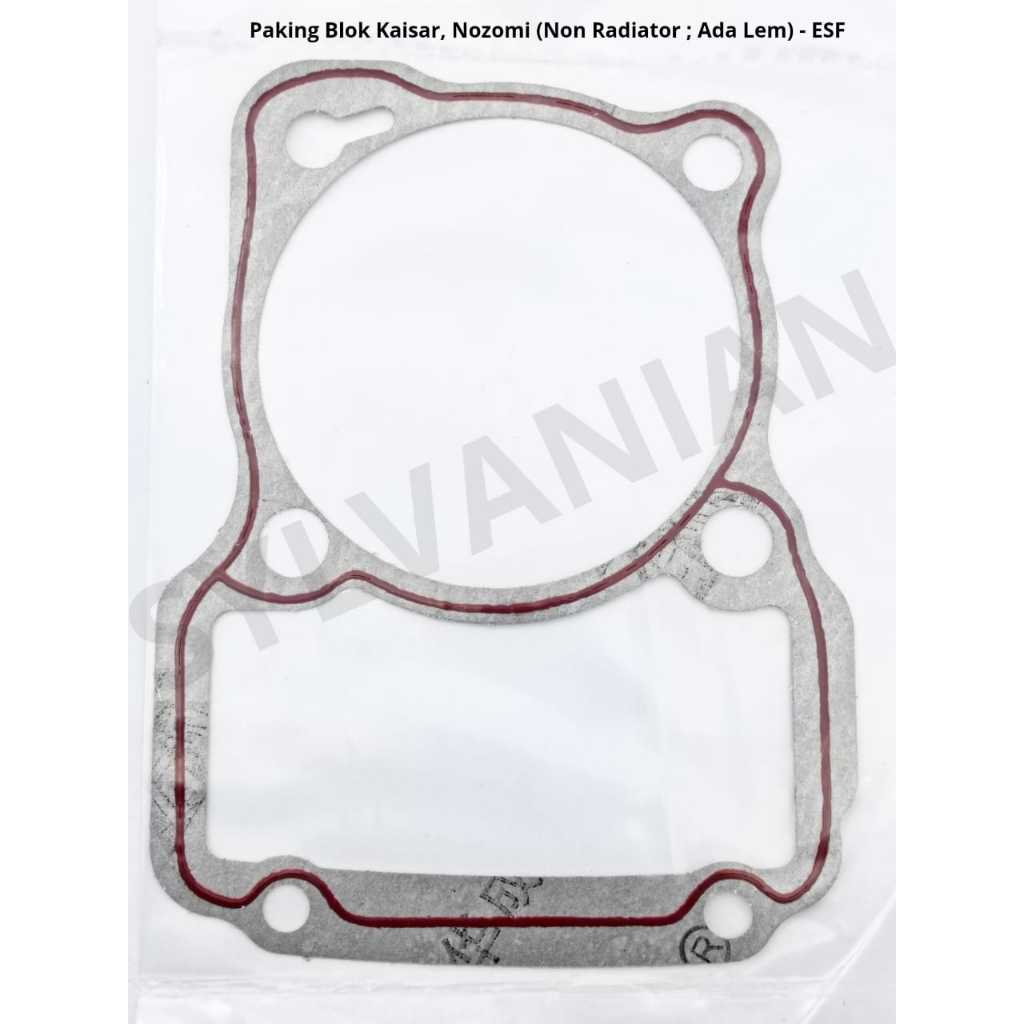 PAKING BLOK MOTOR RODA TIGA KAISAR / NOZOMI NON RADIATOR (ADA LEM) - ESF