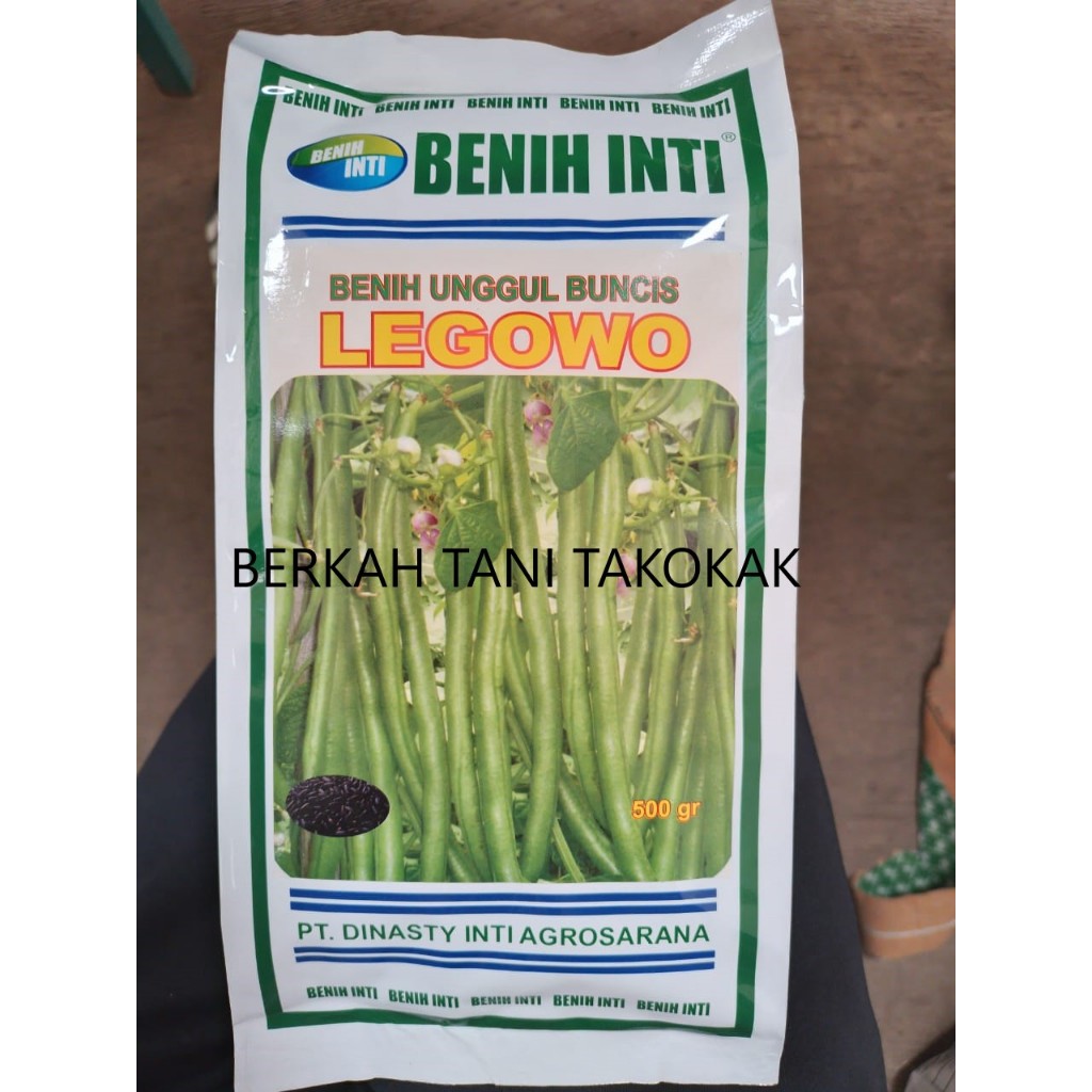 Benih Buncis Legowo 500Gr Dari Benih Inti 100% original