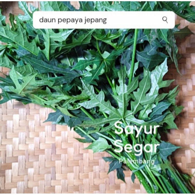 

Daun Gedi / pepaya jepang 1 ikat sayur segar palembang