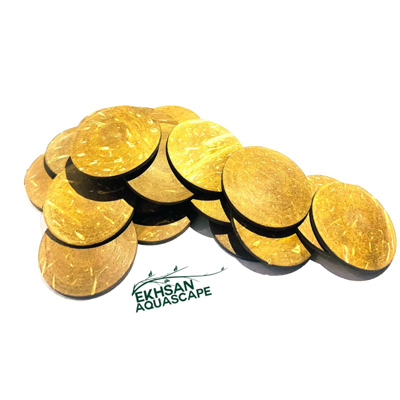 TATAKAN BONSAI AQUASCAPE TATAKAN MOSS PER 20pcs