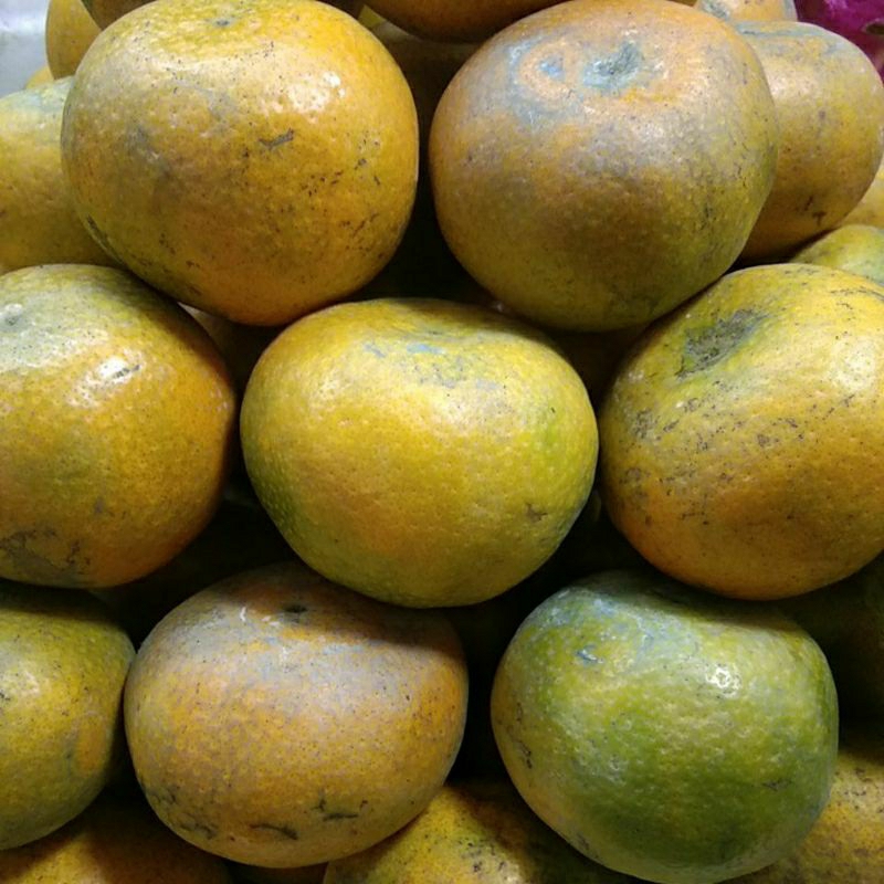 

Jeruk medan / jeruk malang madu _ 1kg