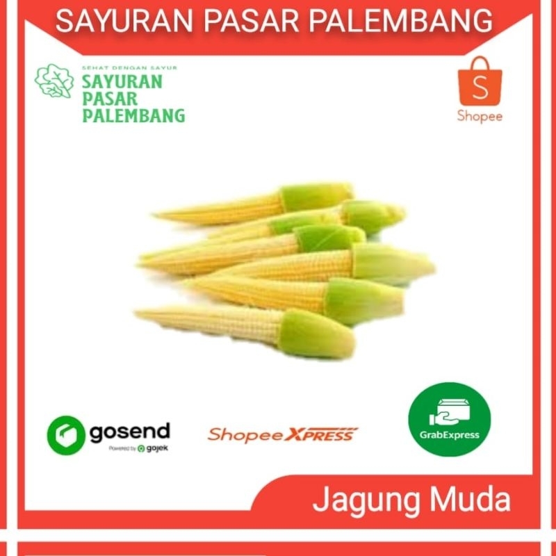 

Jagung Muda / Jagung kecil - Sayuran Pasar Palembang