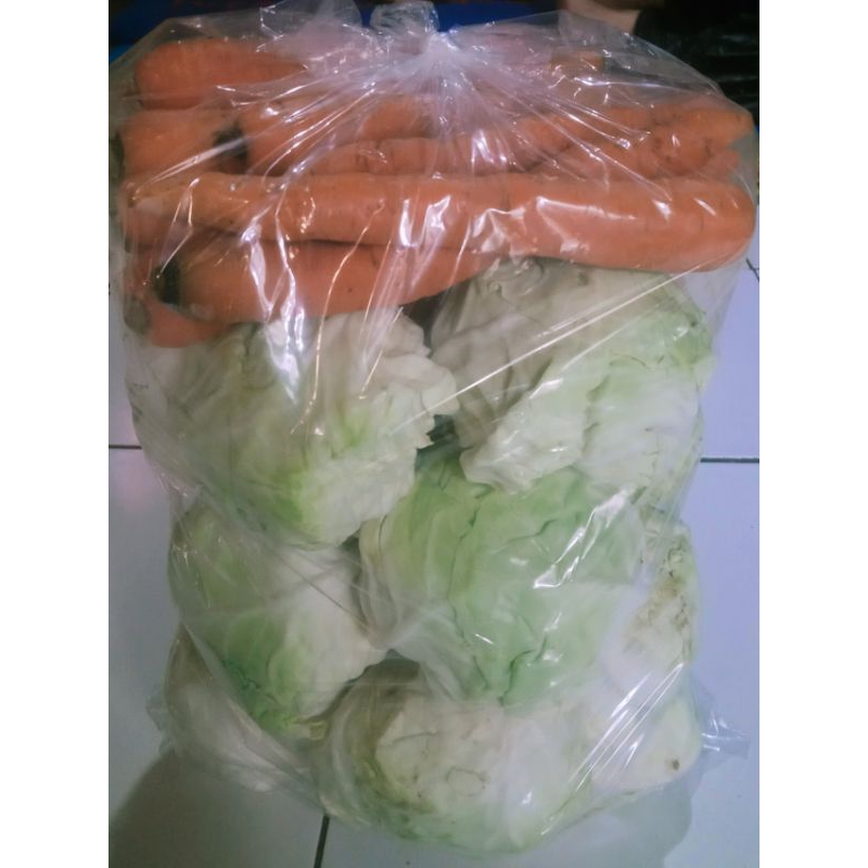 

sayur kol segar / kubis