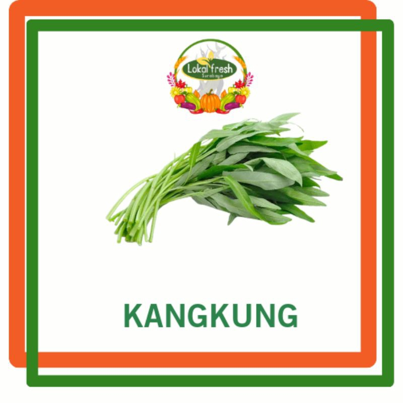 

❤️ LOKAL FRESH ❤️ KANGKUNG 1 IKAT | TERMURAH