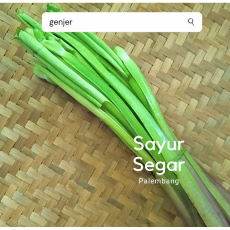 

Sayur Genjer Per Ikat Sayur Segar Palembang