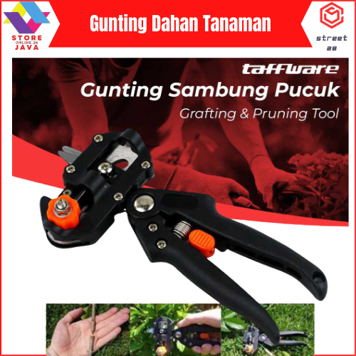 Gunting Ranting? Gunting Dahan? Super Tajam / Gunting Stek Terbaik / Dahan Ranting Tumbuhan Bunga Ga