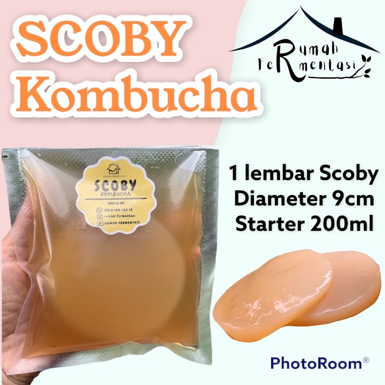

Ready stock SCOBY KOMBUCHA / BIBIT KOMBUCHA (KUALITAS PREMIUM) MY0
