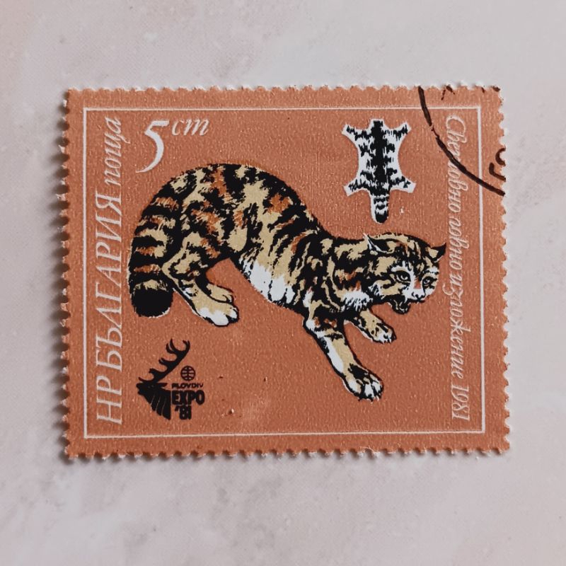 

(AA) Perangko Bulgaria 1981 International Hunting Exhibition, Plovdiv - Wildcat (Felis silvestris) 5 stotinka Used
