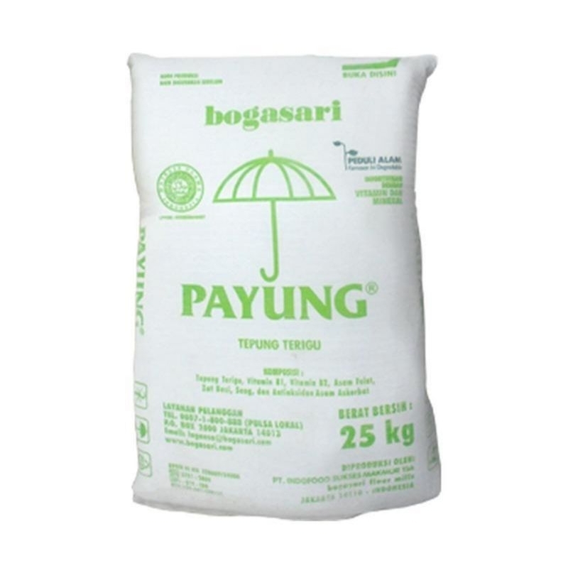 

TEPUNG TERIGU PAYUNG 25 KG