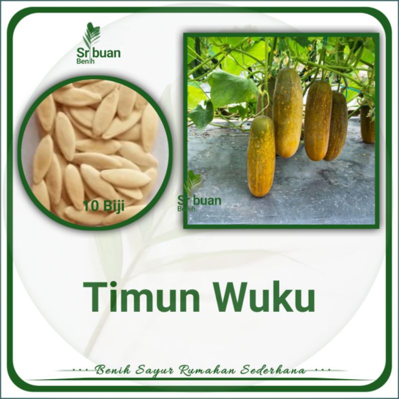 10 Butir Biji Benih Timun Wuku Benih Sayuran Buah