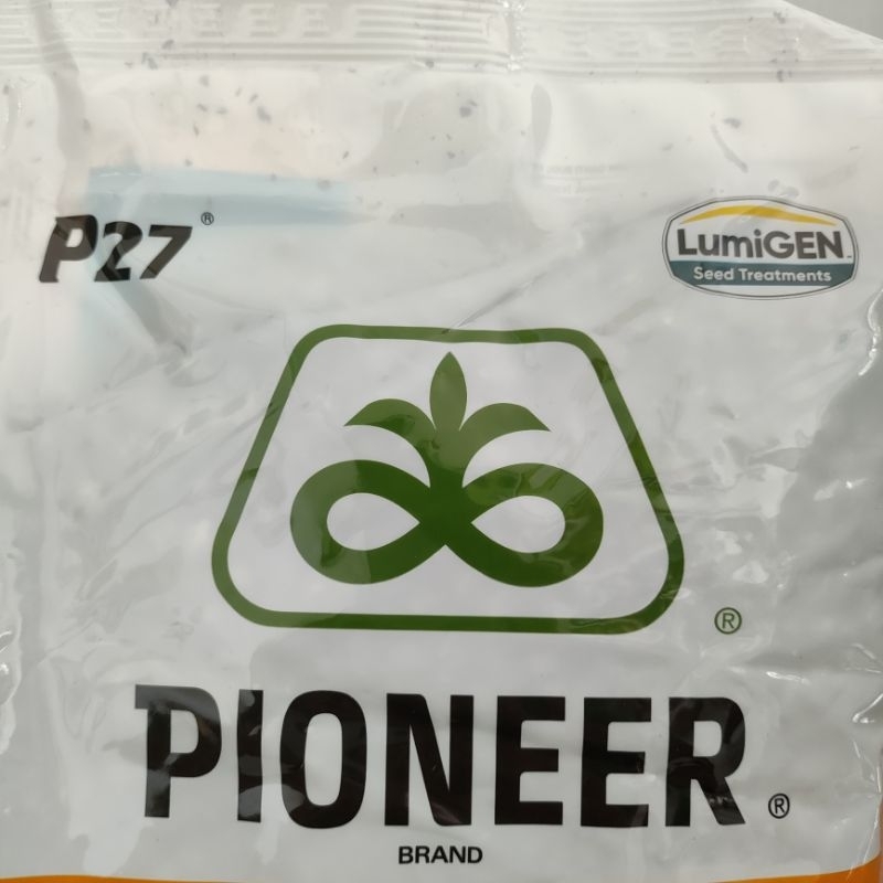 PIONEER - Benih Jagung P27 Gajah Lumigen 1 kg