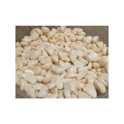 

Bawang Putih Reguler Kupas / Bawang Putih Honam Kupas 500gr Fresh