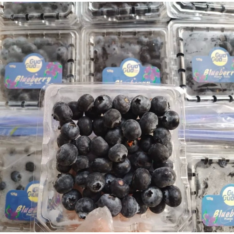 

Blueberry Fresh -+ @125 Gram (Ukuran Blueberry Lebih Besar)