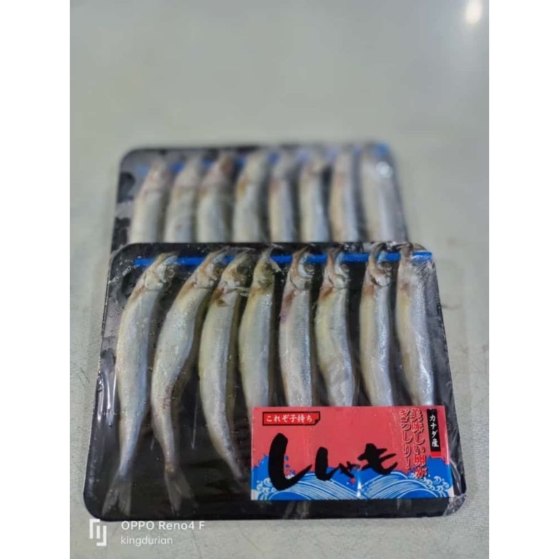 

ikan shisamo Frozen bone