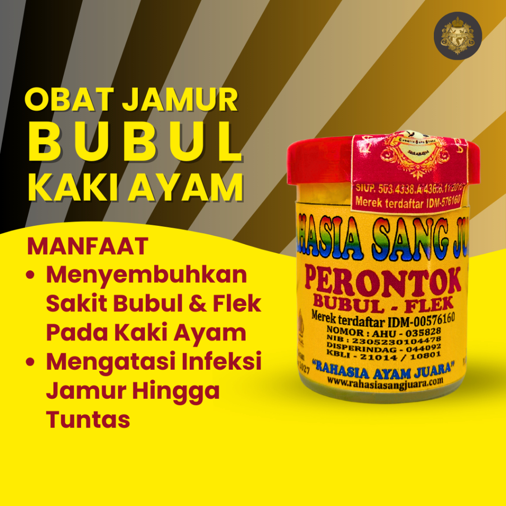 OBAT BUBUL AYAM BANGKOK ADUAN AMPUH MENYEMBUHKAN BUBULAN PADA KAKI AYAM BANGKOK