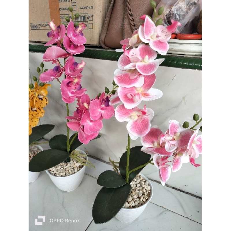 TINGGI 50CM ANGGREK POT PLASTIK // TANAMAN ANGGREK LATEK DEKORASI RUANGAN ARTIFICIAL PLASTIK KAIN IM