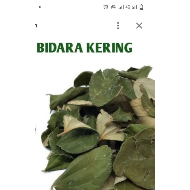 

bidara asli organik 100g