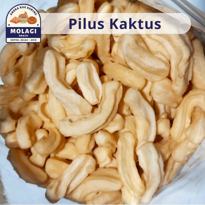 

Pilus Kecipir Gurih Renyah / Pilus Kaktus 250 Gram - Molagi Snack