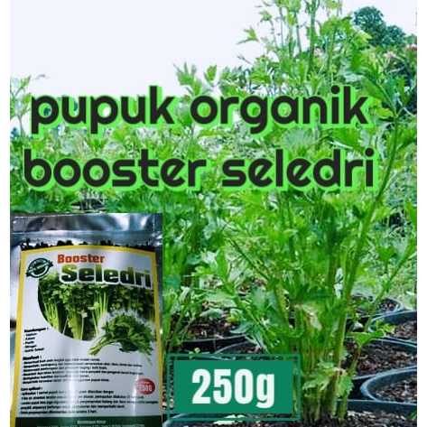Pupuk Organik Khusus Daun Seledri Pupuk Penyubur Tanaman Seledri