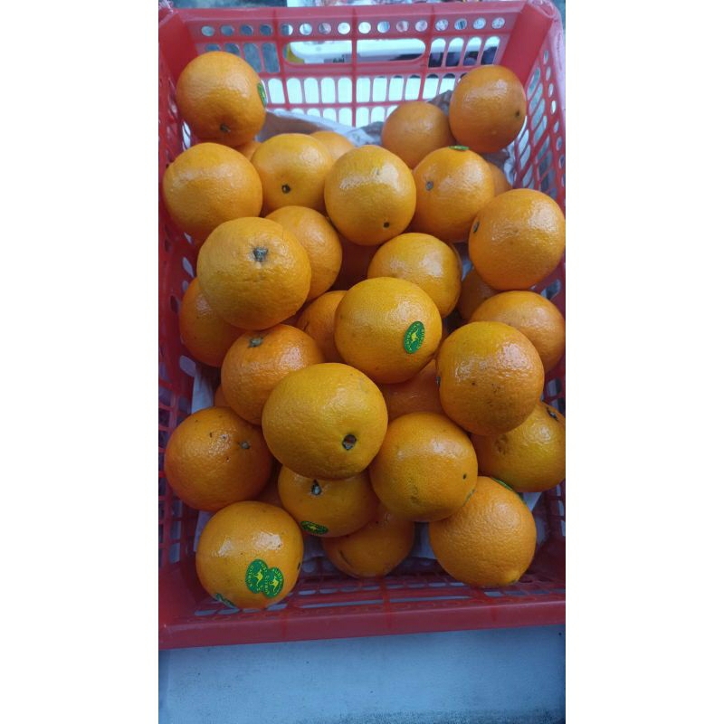 

Jeruk Sunkist 1 Kg
