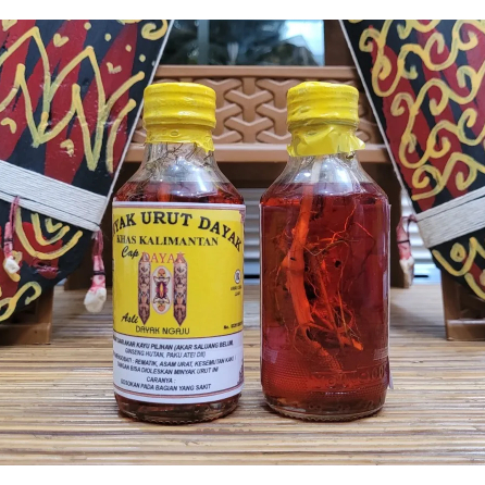 Minyak urut dayak Minyak Urut Dayak Viral, Minyak Gosok Asli Dayak minyak urut obat gosok Dayak asli