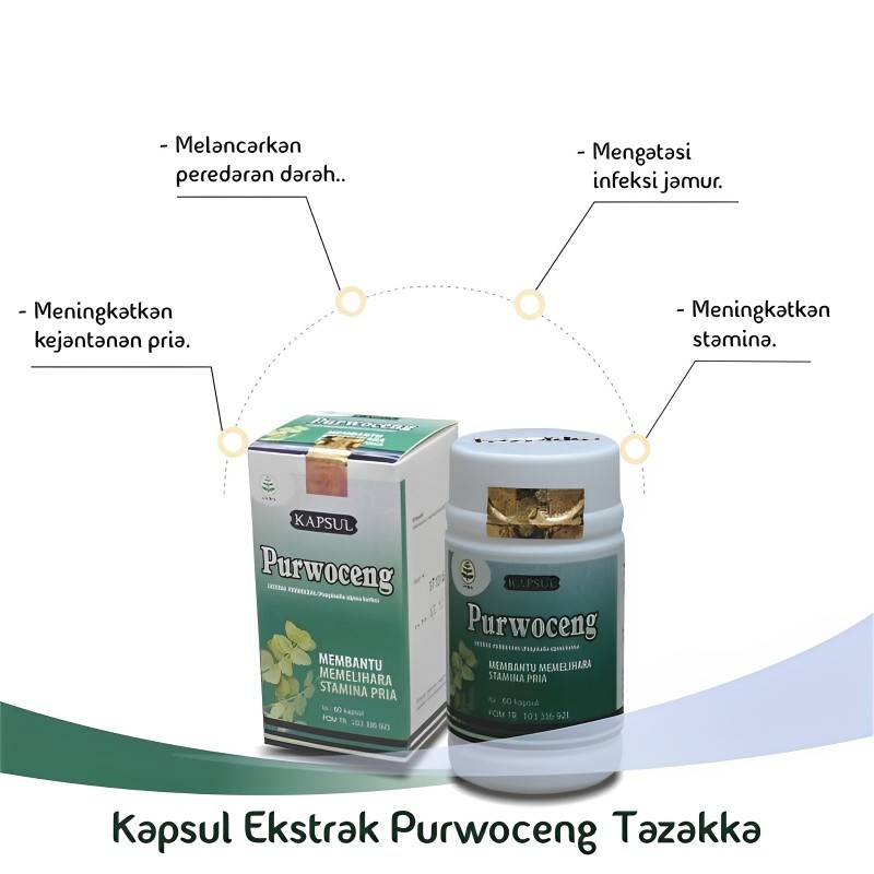 Purwoceng POM Tazakka 60 kapsul - herbal kapsul untuk meningkatkan kejantanan pria.