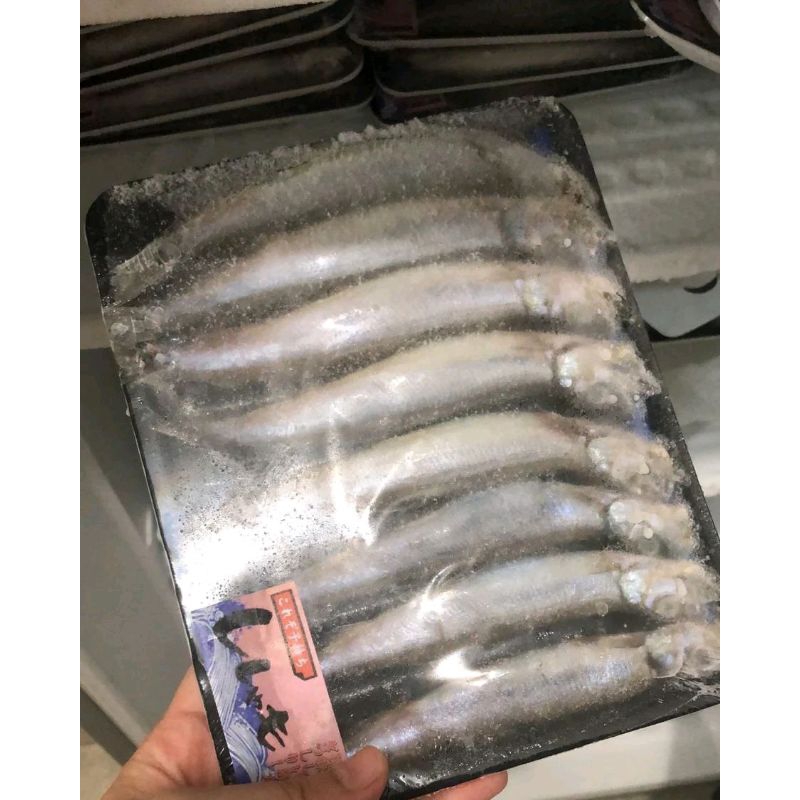 

Ikan Shisamo cocok untuk MPASI