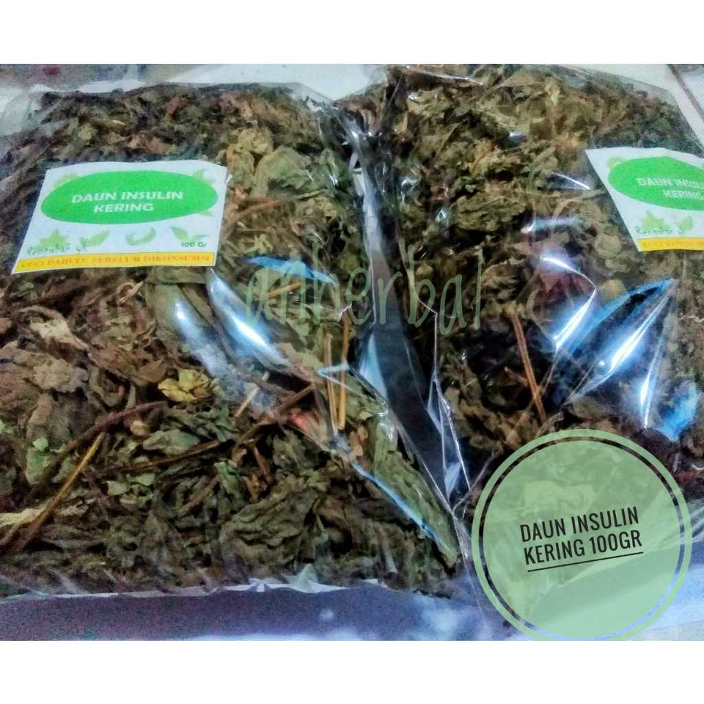 

Daun insulin kering 100gr herbal untuk diabetes daun paitan daun insulin 100gr