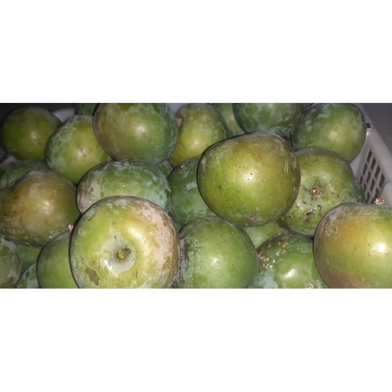 

Buah Mangga Apel 1 kg