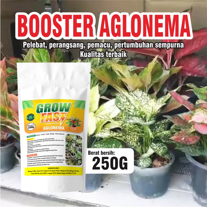 Pupuk Booster Aglonema (250gr) l pupuk organik murah pelebat bunga aglonema l pupuk organik murah pe