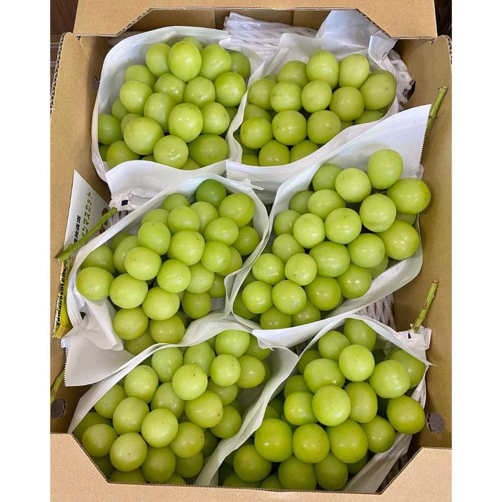 

Anggur Shine Muscat