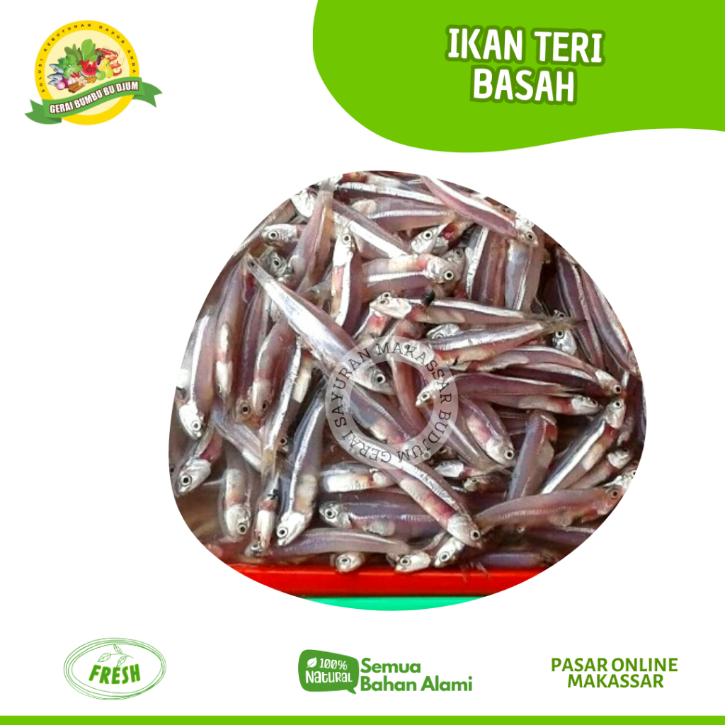 

IKAN TERI BASAH / MAIRO SEGAR PER PACK FRESH IKAN ONLINE MAKASSAR BISA INSTANT DELIVERY