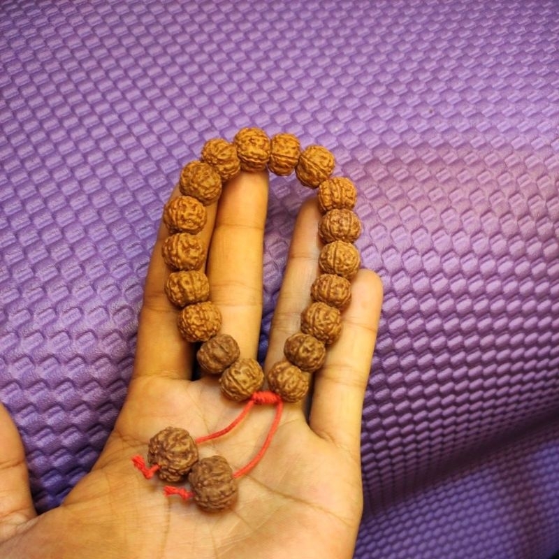 bracelet rudraksha mukhi 6 size 13_15 mm