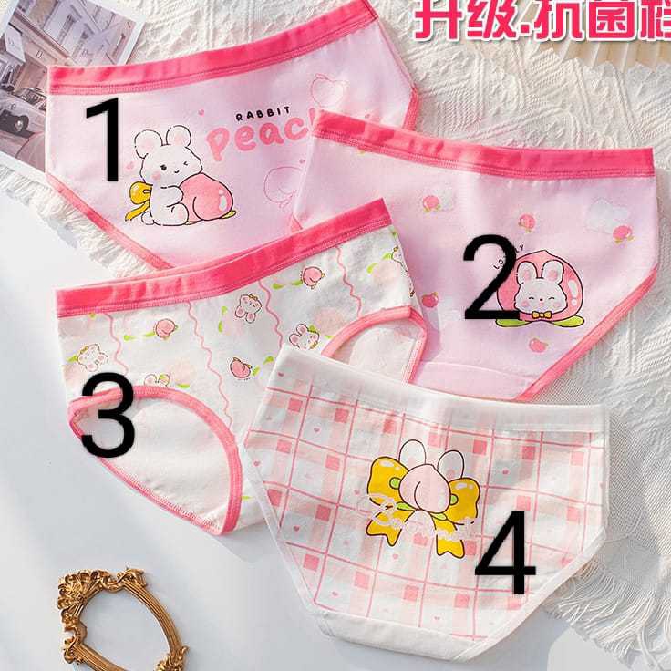 KIDSZONE50 CD024 CELANA DALAM ANAK PEREMPUAN 3-13TAHUN