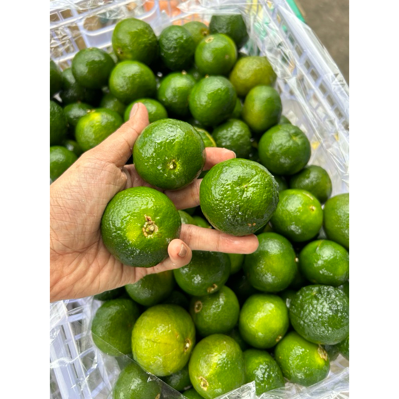 

BUAH Jeruk Shantang Greenci / santang hijau manis
