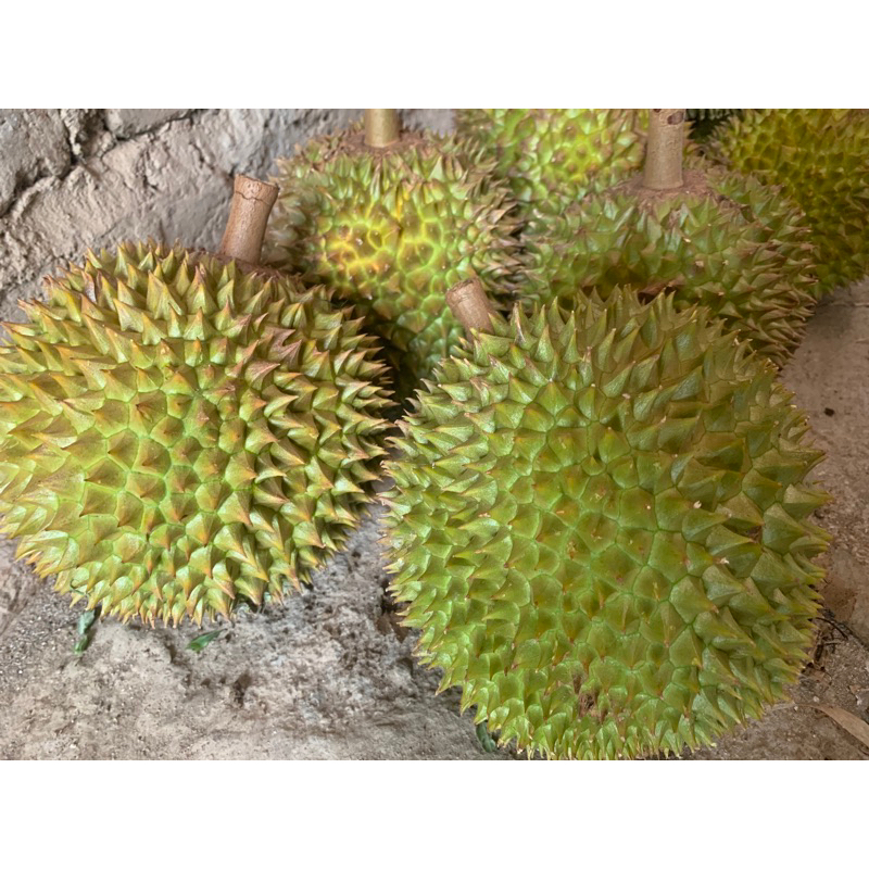 

Durian