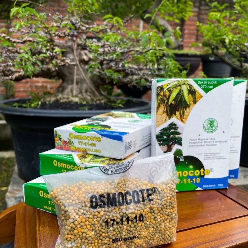 DEKASTAR OSMOCOTE 500 GRAM 17-11-10