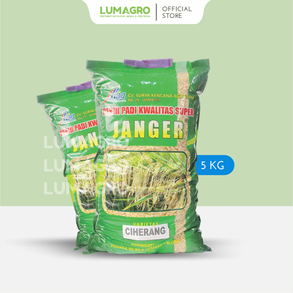 Benih Padi Ciherang Janger 5kg Bibit Pari Kwalitas Super Hasil Berbobot Tahan Jamur