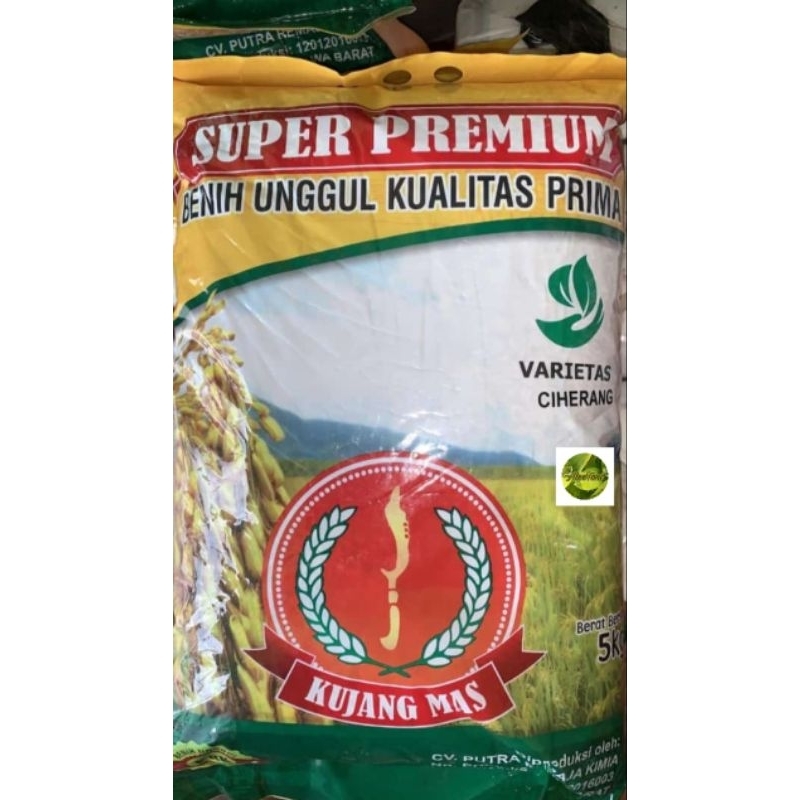 Benih padi unggul kujang mas PREMIUM (KEMASAN 5KG)