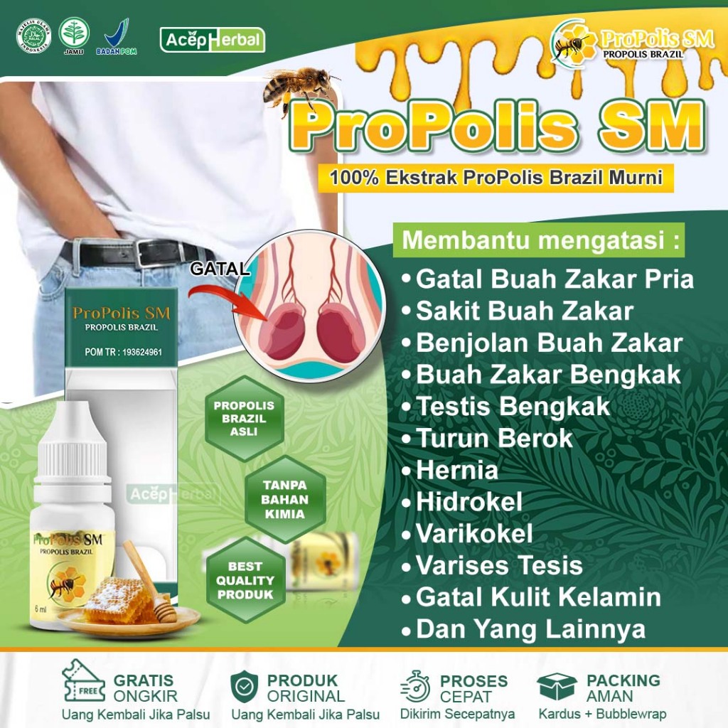 Obat Gatal Buah Zakar Pria Sakit Buah Zakar Benjolan Buah Zakar Testis Bengkak Hernia Hidrokel Varik