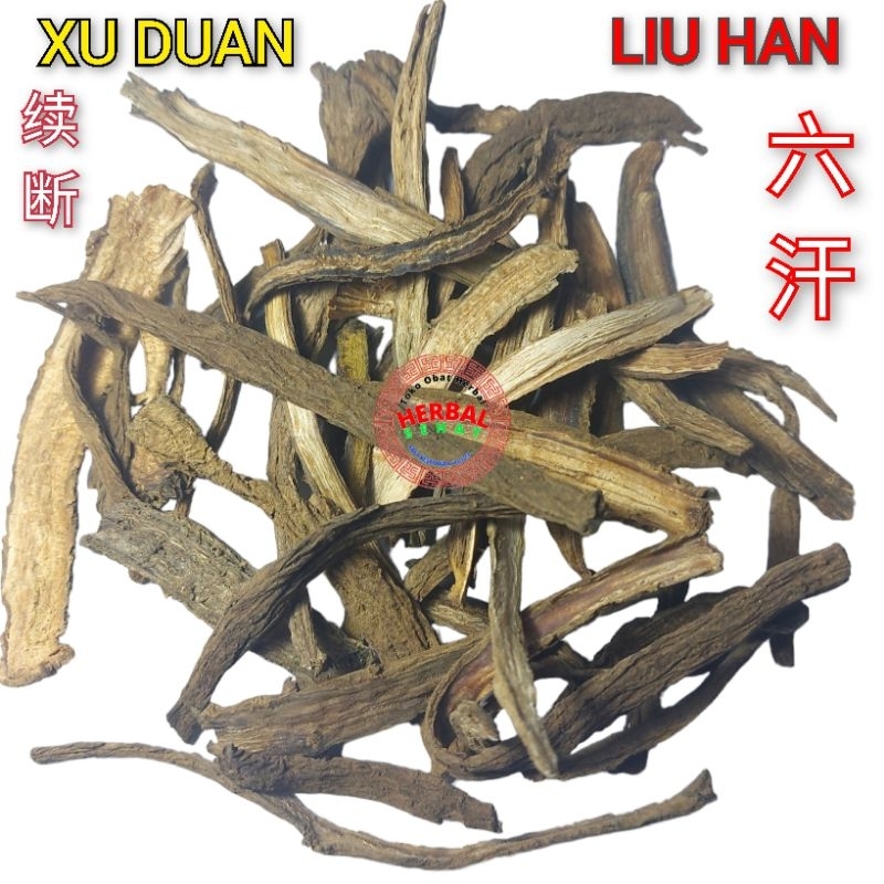 

1 Kilogram Xu Duan / Liu Han / Liuk Hon Radix Dipsaci