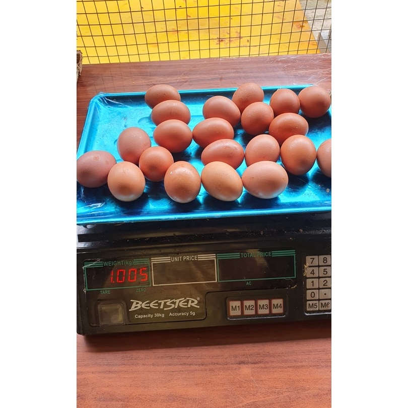 

ZKPN5255 ✓ telor omega super/premium /super artinya yg premium paling bagus ya ka/omega