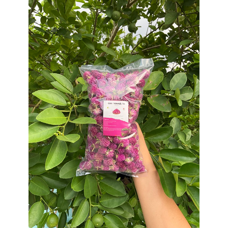 

Globe Amaranth Tea 100g