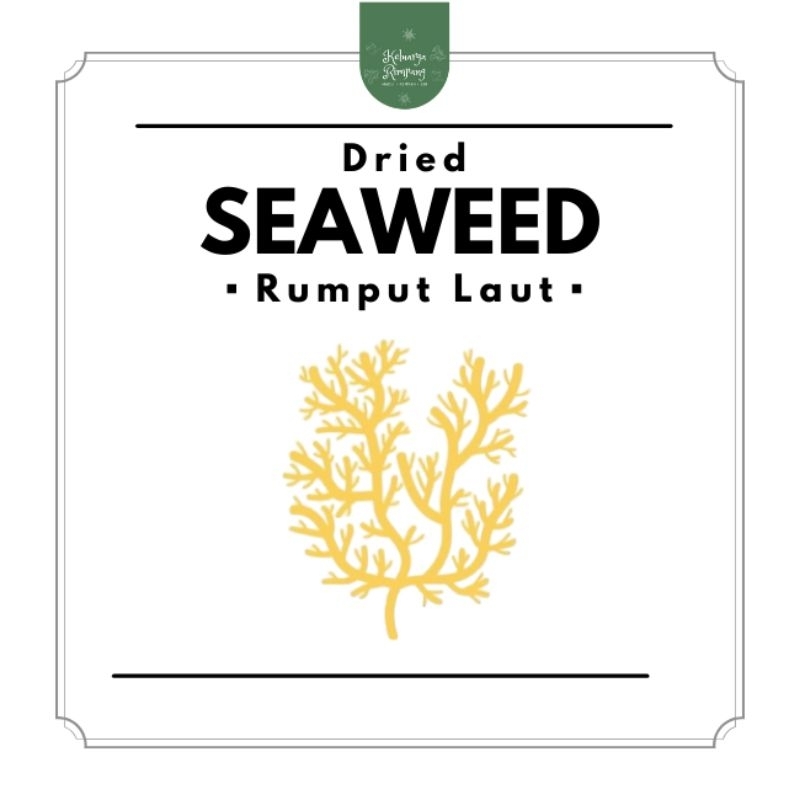 

Rumput Laut untuk Sea Moss by Keluarga Rimpang