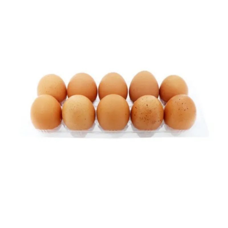 

telur ayam 10 butir