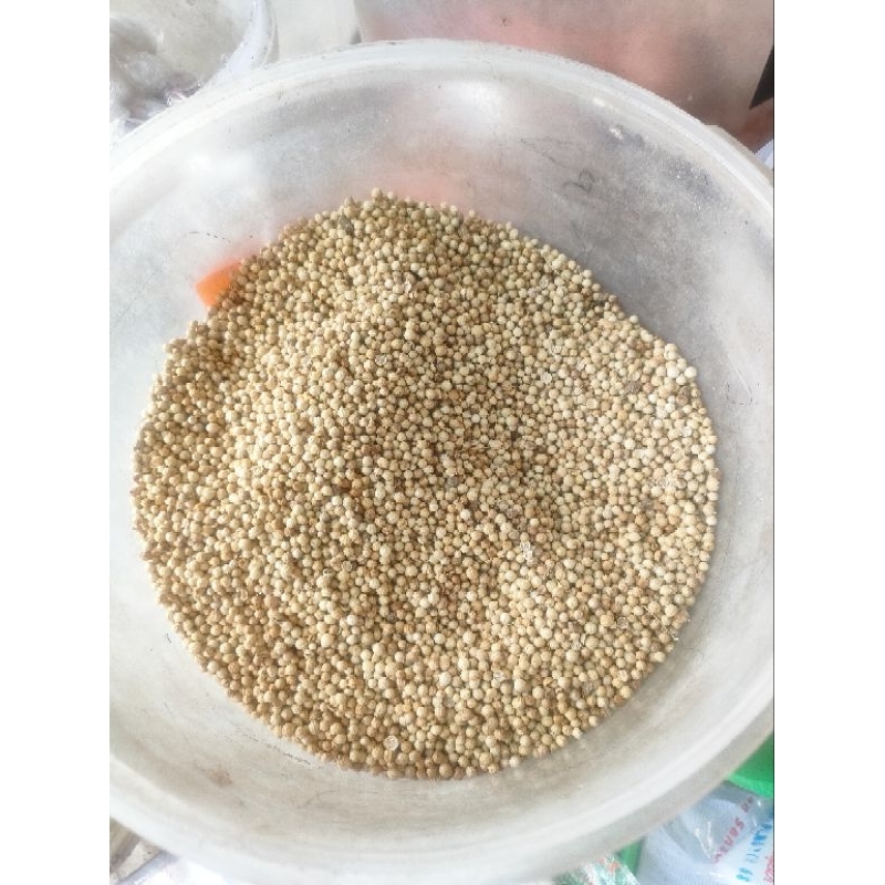 

Ketumbar Butir (kemasan 1kg)