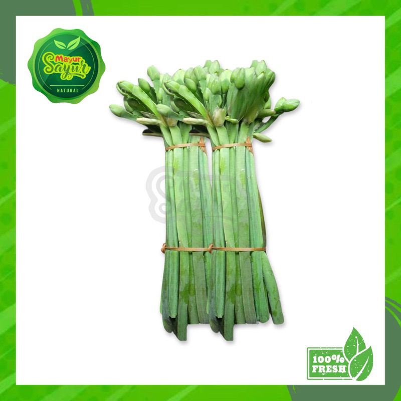

KIRIM INSTAN Sayur Bunga Genjer / Eceng / Per Ikat