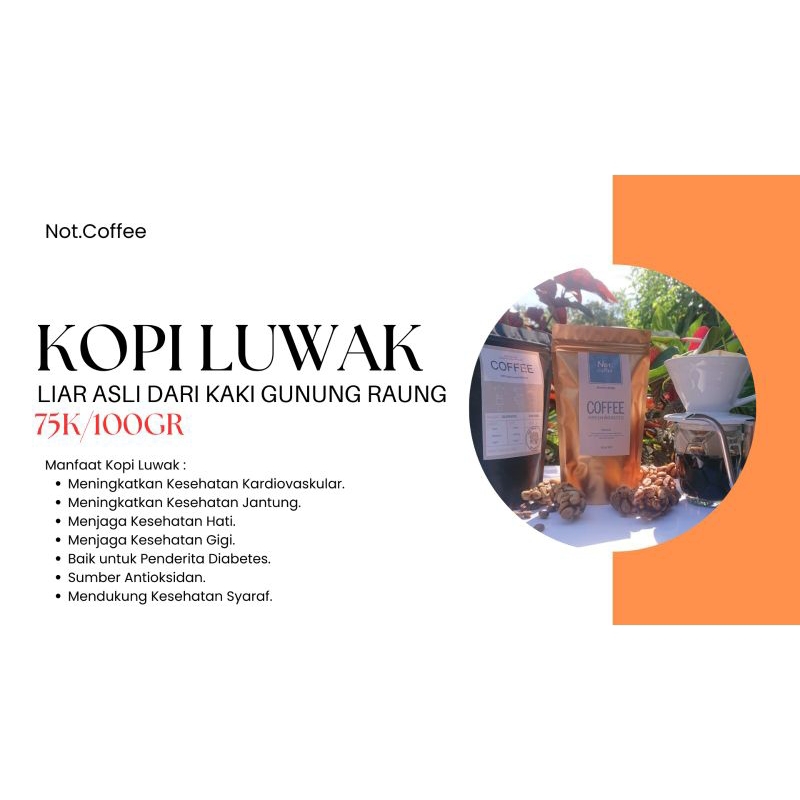 

Kopi Luwak Liar Asli Robusta Raung 100gr